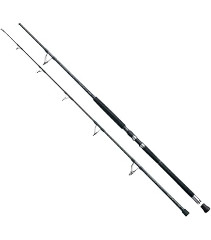 Amazon | シマノ(SHIMANO) スピニングリール 20 ステラ SW 20000PG